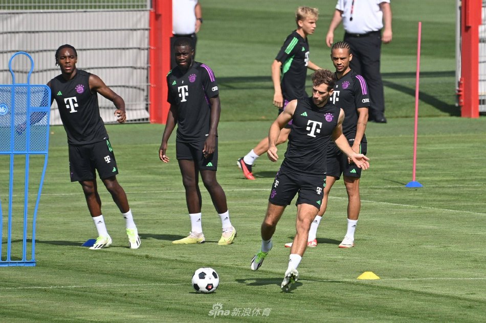 东契奇的团 东契奇的团